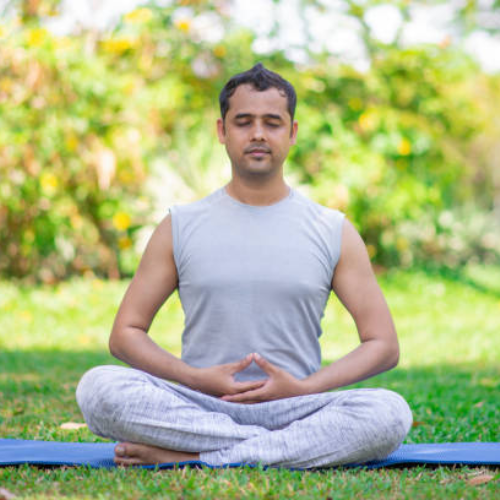 Reviving the Wisdom of Ayurveda for Modern Wellness