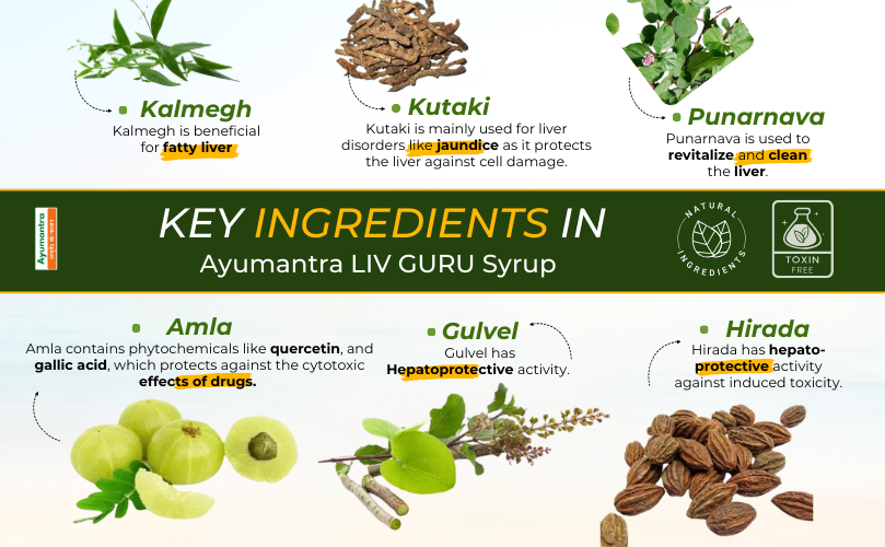 Key Ingredients in Ayumantra Liv Guru Syrup